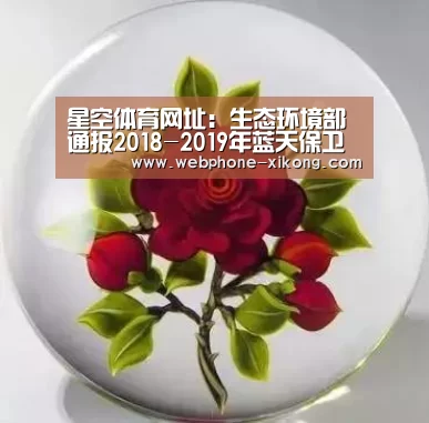 星空体育网址:生态环境部通报2018-2019年蓝天保卫战重点区域强化监督情况(12月16日)(图4) 星空体育