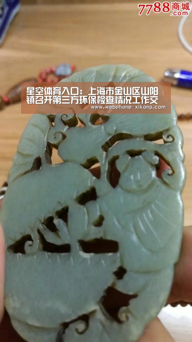 星空体育入口:上海市金山区山阳镇召开第三方环保检查情况工作交流会(图1) 星空体育网址