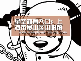 星空体育入口:上海市金山区山阳镇召开第三方环保检查情况工作交流会(图4) 星空体育入口