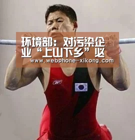 环境部:对污染企业“上山下乡”必须严格把关:星空体育官网(图2) 星空体育官网