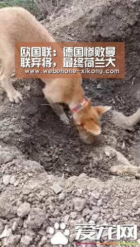 欧国联:德国惨败曼联弃将,最终荷兰大胜德国“星空体育入口”(图1) 星空体育官网
