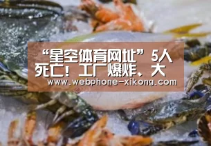 “星空体育网址”5人死亡!工厂爆炸、大火、车间坍塌!8天4起事故!胆战心惊!(图2) 星空体育网址