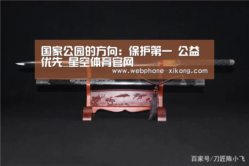 星空体育官网
