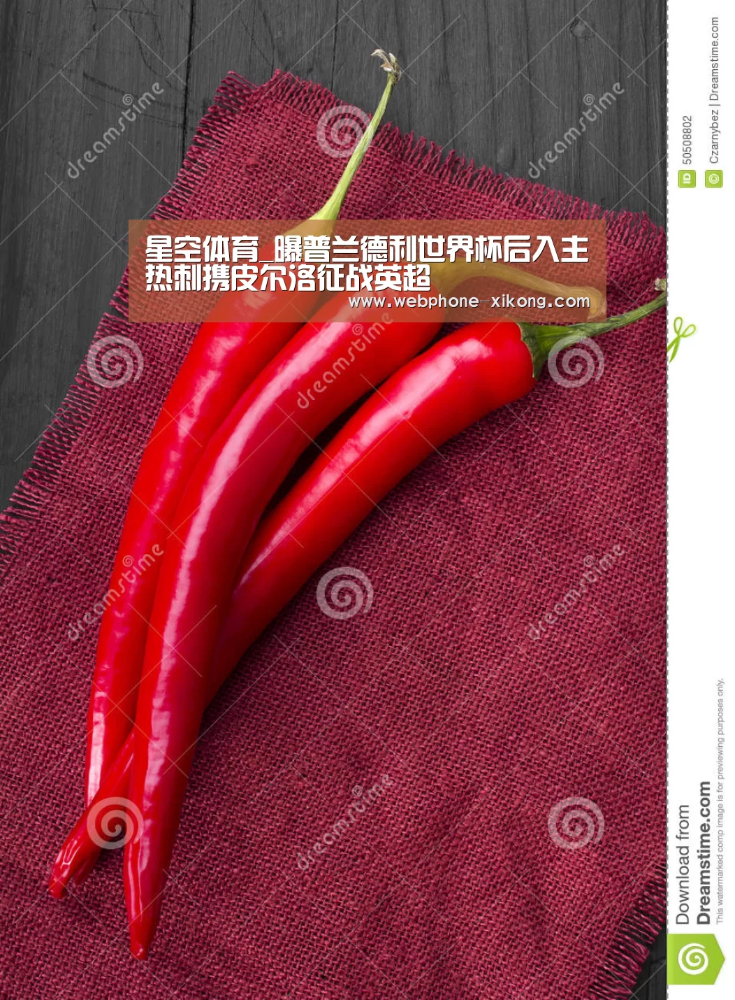 星空体育网址