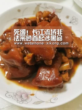 死缓!长江流域非法采砂首起涉黑命案宣判:星空体育官网(图2) 星空体育入口