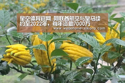星空体育官网_阿联酋航空与皇马续约至2022年,每年资助7000万(图3) 星空体育