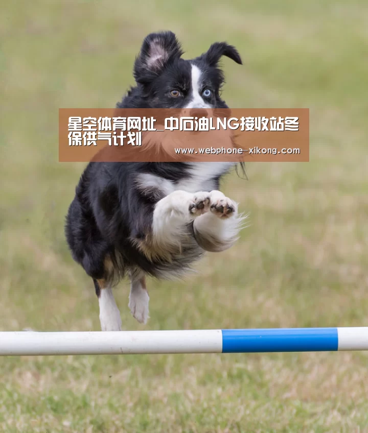 星空体育网址_中石油LNG接收站冬保供气计划(图1) 星空体育网址